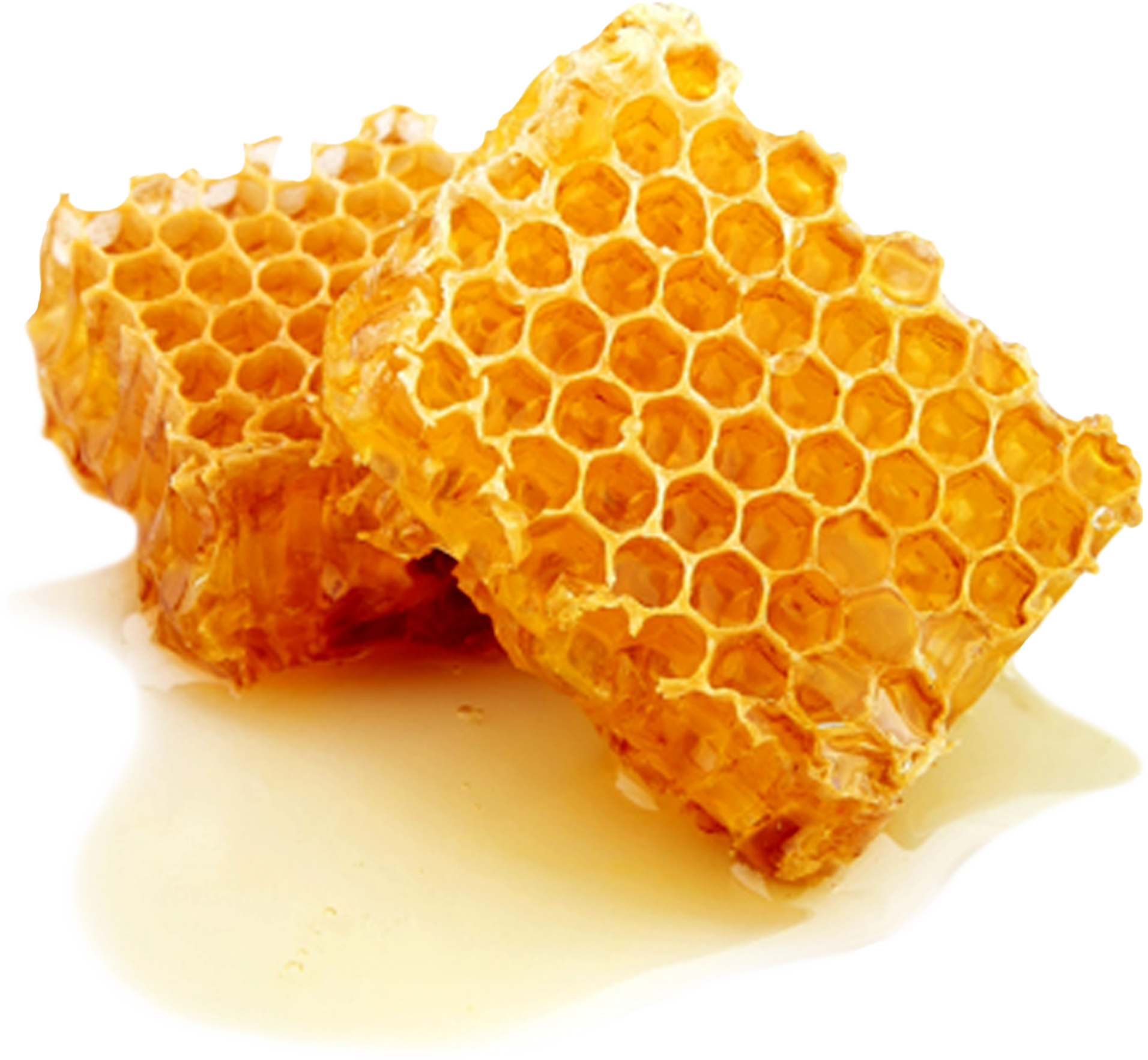 Beeswax