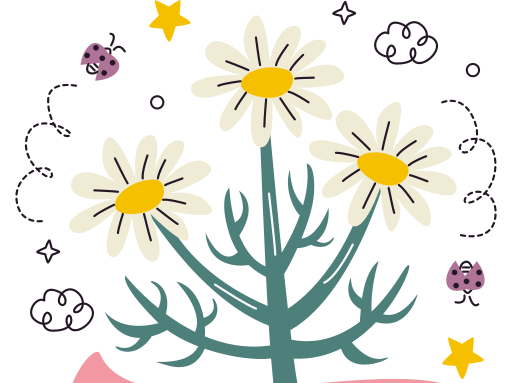 Chamomile
